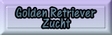 Hier gehts zu unserer Golden Retriever Zucht